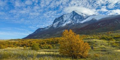 Azucena_caamano:_découvrez_sa_maison_authentique_en_Patagonie!