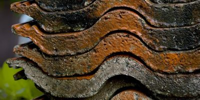 Comment_choisir_le_bon_substrat_pour_toiture_végétalisée_?