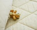 Comment_désinfecter_un_matelas_?
