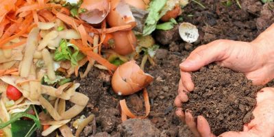 Tous_ce_qu_il_faut_savoir_sur_se_que_doit_contenir_un_compost