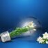 Transition_énergétique_:_l_impact_positif_des_obligations_d_achat_d_EDF