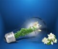 Transition_énergétique_:_l_impact_positif_des_obligations_d_achat_d_EDF