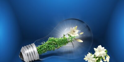 Transition_énergétique_:_l_impact_positif_des_obligations_d_achat_d_EDF
